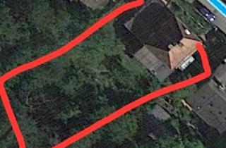 Haus kaufen in 67466 Lambrecht, Lambrecht (Pfalz) - Haus am Berg