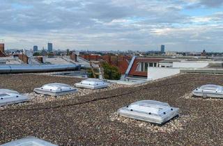 Wohnung mieten in 12049 Neukölln, Exklusive 2,5 Zimmer-Dachgeschosswohnung über den Dächern Neuköllns - Dachterrasse & Einbauküche