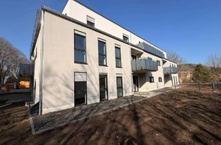 Wohnung mieten in Am Hofacker, 67806 Rockenhausen, Neubau - Moderne und altersgerechte 3-Zimmer Wohnung mit Balkon im 1. OG in Rockenhausen