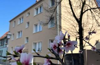 Wohnung mieten in Schloßstraße 17a, 39249 Barby, Wohnen im Herzen der Stadt