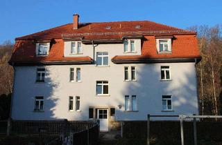 Wohnung mieten in Pirnaer Str. 15, 01816 Bad Gottleuba, Schicke 2-Raum-Wohnung wartet auf neue Mieter!