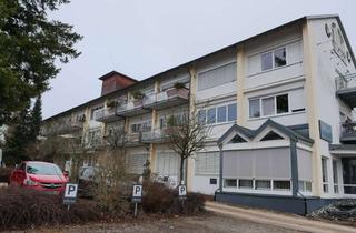 Wohnung mieten in Egelfinger Straße 11, 72511 Bingen, Helle neu sanierte 2-Zimmer Wohnung mit Balkon im 1. OG in Bingen