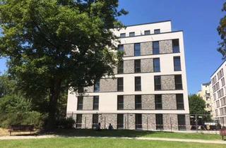 Wohnung mieten in Gerichtstraße 68, 13347 Wedding, Möbliertes 1-Zimmer Appartement - nur Studenten, Azubis o. Praktikanten