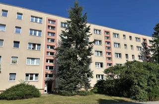 Wohnung mieten in Albert-Einstein-Straße 29, 02625 Bautzen, 3-Raum Wohnung, zentral in grüner Wohngegend!