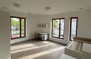 Wohnung mieten in Leerer Straße 14, 48565 Steinfurt, Attraktive 1-Zimmer Wohnung im 1. OG in Steinfurt