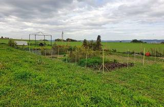 Immobilie mieten in Siegelweg, 88276 Berg, Gartenparzellen zu Pachten