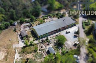 Haus kaufen in 39291 Lostau, Großer "Bungalow" mit weitem Grundstück und Ausbaupotenzial in Lostau – ehemaliger Kindergarten