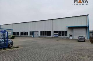 Gewerbeimmobilie kaufen in 64584 Biebesheim, Modernes, sehr gepflegtes Gewerbeanwesen im Gewerbegebiet Biebesheim zum Verkauf