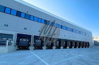 Büro zu mieten in 74172 Neckarsulm, KEINE PROVISION ✓ RAMPE + EBEN ✓ Lager-/Logistik (10.000 m²) & Büro (1.000 m²)