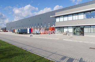 Gewerbeimmobilie mieten in 64347 Griesheim, 3800m² Lagerfläche | PROVISIONSFREI | kurzfristig | ebenerdig