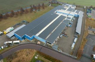 Gewerbeimmobilie mieten in 01683 Nossen, Teilbare, attraktive Produktions- und Lagerflächen zur Anmietung frei