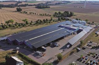 Gewerbeimmobilie mieten in 01683 Nossen, Teilbare, attraktive Produktions- und Lagerflächen zur Anmietung frei