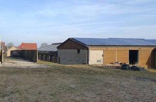 Immobilie kaufen in 97996 Niederstetten, Landwirtschaftliche Teilhoffläche mit Grünland zu verkaufen!