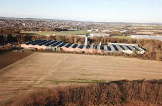 Gewerbeimmobilie kaufen in 36304 Alsfeld, Industrielle Entwicklungsfläche im Herzen Deutschlands zu verkaufen (Provisionsfrei)