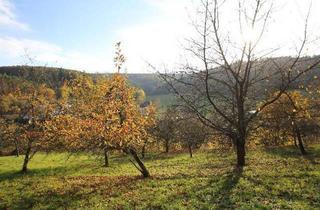 Gewerbeimmobilie kaufen in An Der Roten Mauer, 64747 Breuberg, Teilungsversteigerung: Schönes Hang-Baugrundstück, Süd-West Lage, Teilbar, Provisionsfrei