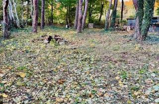 Gewerbeimmobilie mieten in 15713 Königs Wusterhausen, Charmanter Bungalow mit 2,5 Zimmern in Königs Wusterhausen