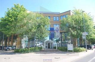 Gewerbeimmobilie mieten in 63225 Langen, KLE!N - Provisionsfrei - Helle Büroflächen in Gewerbepark