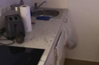 Wohnung mieten in Habsburgerstraße 132-134, 79104 Neuburg, 1-Zimmer Wohnung mit Balkon im EG in Freiburg-Neuburg