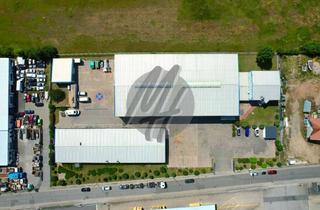 Gewerbeimmobilie kaufen in 64560 Riedstadt, VERKAUF ✓ Grundstück (8.000 m²) mit Lager (2.700 m²) & Büro-/Sozial (500 m²)