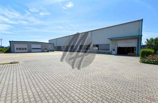 Gewerbeimmobilie kaufen in 64625 Bensheim, VERKAUF ✓ Grundstück (8.000 m²) mit Lager (2.700 m²) & Büro-/Sozial (500 m²)