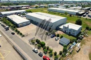 Gewerbeimmobilie kaufen in 64584 Biebesheim, VERKAUF ✓ Grundstück (8.000 m²) mit Lager (2.700 m²) & Büro-/Sozial (500 m²)