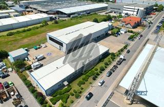Gewerbeimmobilie kaufen in 64579 Gernsheim, VERKAUF ✓ Grundstück (8.000 m²) mit Lager (2.700 m²) & Büro-/Sozial (500 m²)