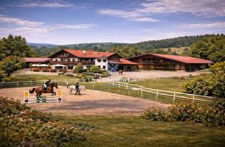 Anlageobjekt in 29646 Bispingen, Renditeobjekt: Hotelbetrieb mit Reithalle – diskret im Angebot