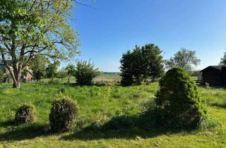 Grundstück zu kaufen in 30926 Seelze, Ihr neues IMMOBILIEN QUARTIER: Traumhaftes Grundstück mit rund 2.600 Quadratmeter in Seelze/Lohnde