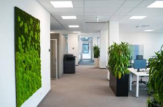 Büro zu mieten in 50226 Frechen, Top-moderne Büros und Coworking im Neubau im Zentrum von Frechen