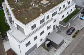 Penthouse kaufen in 74906 Bad Rappenau, **ERSTBEZUG! Klasse 2,5 Zi.-Penthousewohnung, 75 qm Wfl., hochwertige Bauweise, modern und schick **