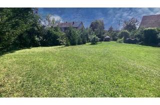 Grundstück zu kaufen in 74252 Massenbachhausen, Weitläufiges Grundstück ohne Bauzwang