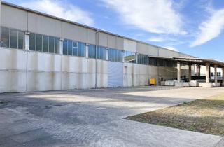 Gewerbeimmobilie mieten in 74722 Buchen, Krisenfeste Lagerhaltung - sichtgeschützte Außenlagerflächen, befestigt und unbefestigt