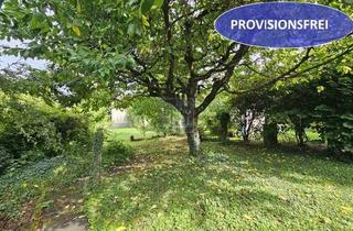 Grundstück zu kaufen in 76327 Pfinztal, SAHNESTÜCK im Grünen für DHH