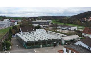 Grundstück zu kaufen in 74933 Neidenstein, Abrissgrundstück in Neidenstein (Projektierung für Neubau WHG/DHH/EFH in Planung, 36 Einheiten)