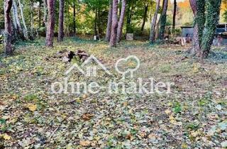 Immobilie mieten in 15713 Königs Wusterhausen, Charmanter Bungalow mit 2,5 Zimmern in Königs Wusterhausen