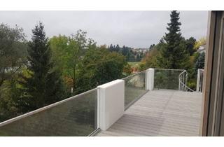 Penthouse mieten in Thaddäus Hornung Weg, 89407 Dillingen, Dillingen - Penthouse Wohnung 3 Zimmer Dillingen Donau Top Hanglage + NK 150 Euro