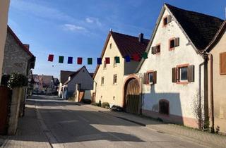 Haus kaufen in 79291 Merdingen, Merdingen - Großes Baugrundstück mit altem Haus mitten in Merdingen.