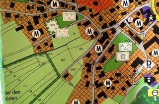 Haus kaufen in 88481 Balzheim, Balzheim - Grundstück