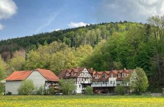 Haus kaufen in 36286 Neuenstein, Neuenstein - Kulturdenkmal Liedemühle - Alleinlage mit eigener Wasserkraft