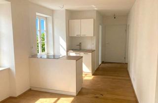 Wohnung mieten in 94315 Straubing, ***SANIERTER ALTBAU*** - Geräumiges Apartment in der Straubinger Innenstadt