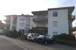 Wohnung mieten in 76887 Bad Bergzabern, Appartement-neu renoviert-sofort frei