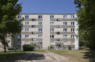 Wohnung mieten in Theodor-Heuss-Str. 38, 67549 Neuhausen, Erstbezug nach Sanierung! Schöne 2-Zimmer-Wohnung im 4.OG ohne Aufzug!