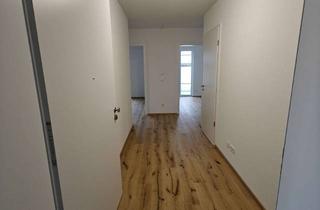 Wohnung mieten in 89165 Dietenheim, 4.5 Zimmer Wohnung Erstbezug Neubau zu vermieten