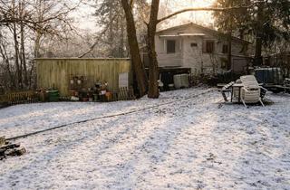 Haus kaufen in 55442 Daxweiler, Großes Waldgrundstück mit Gebäude und Bürocontainer