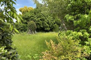 Mehrfamilienhaus kaufen in Apricker Weg, 58675 Hemer, Landliebe gesucht? Mehrfamilienhaus mit Grundstücksreserve