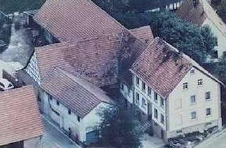 Bauernhaus kaufen in 69226 Nußloch, Da, bei der alten Birke .....Bauernhof zu verkaufen oder ....