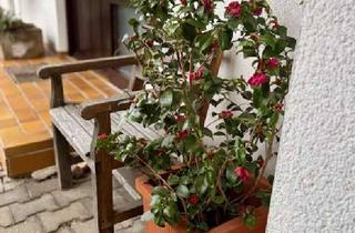 Doppelhaushälfte kaufen in 71083 Herrenberg, Doppelhaushälfte mit viel Platz für die ganze Familie in Herrenberg