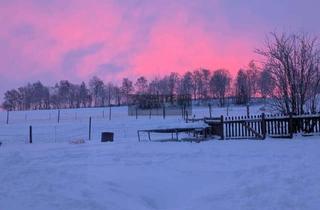 Haus kaufen in 95709 Tröstau, Charmantes ländliches Anwesen - Leupoldsdorf