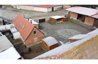 Bauernhaus kaufen in 06456 Sandersleben, Bauernhof und zwei Scheunen auf großem Grundstück - ein Traum für Individualisten mit Tieren + Hobby