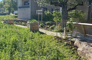 Haus mieten in Albstraße 31, 89584 Ehingen, Modernes Tiny House in Ehingen (Donau)